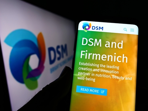 DSM heeft de bodem nog niet gezien